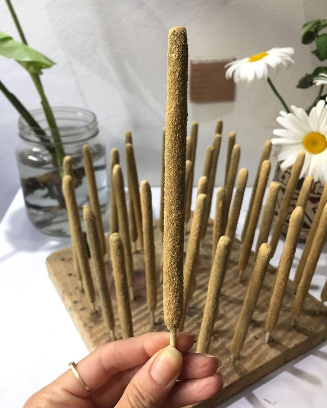 گل یاس